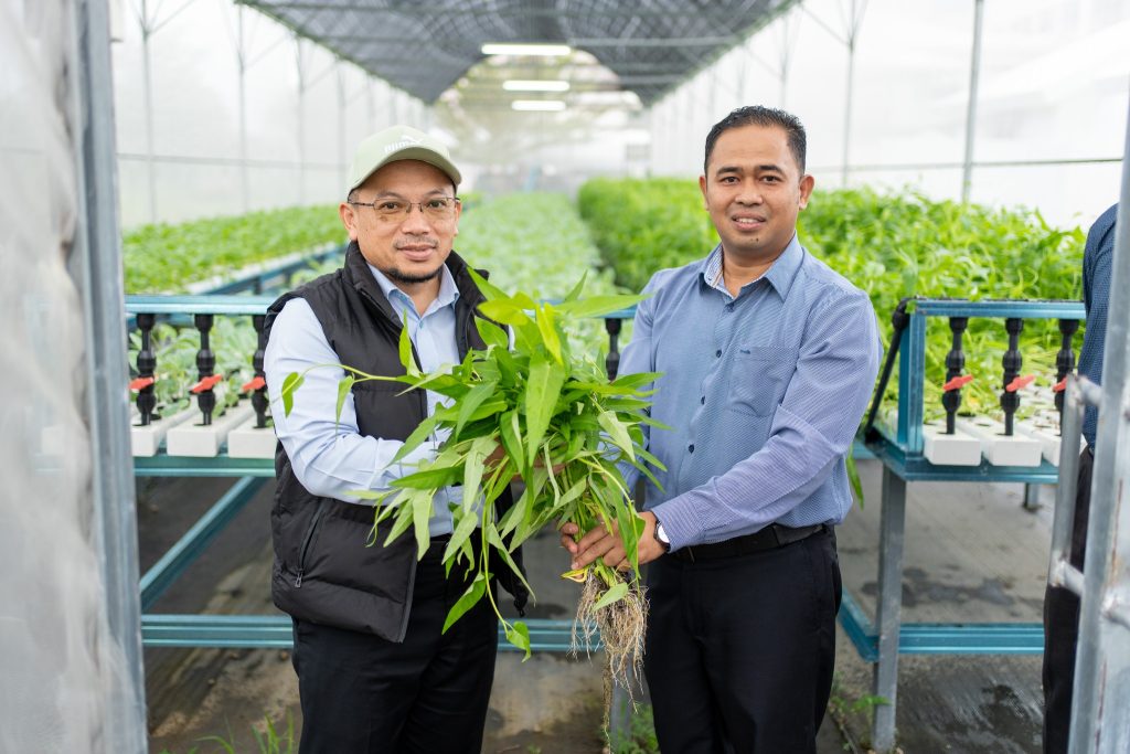 YP Hevea Serah Sayur-Sayuran Untuk Pelajar MTNP